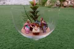 IMG-20211226-WA0013